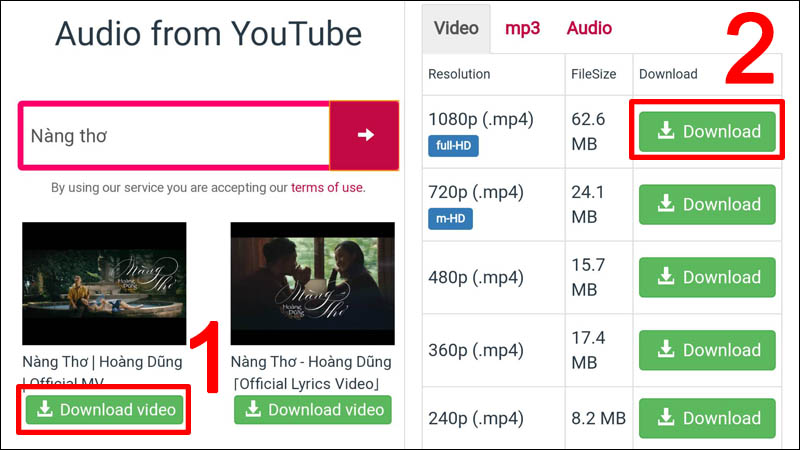 Download video